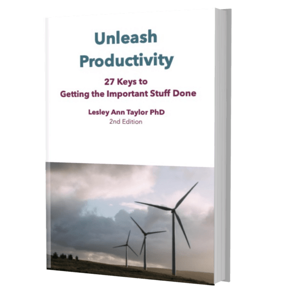 Unleash Productivity: 27 Keys to Getting the Important Stuff Done, ebook 2nd Edition (pdf)