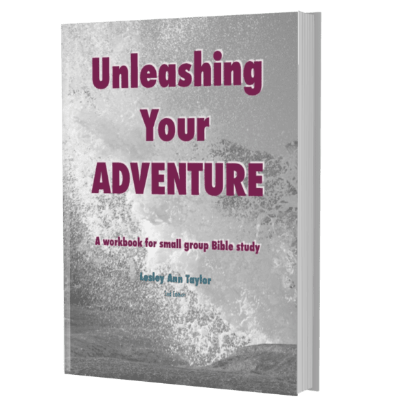 Unleashing Your ADVENTURE, ebook 2nd Edition (pdf)